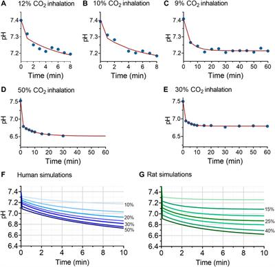 Carbon dioxide tolerability and toxicity in rat and man: A translational study